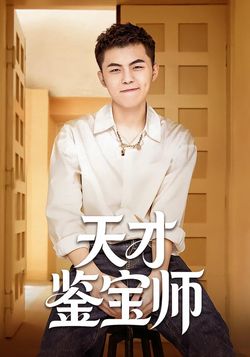 天才鉴宝师
